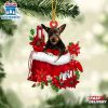 Australian Kelpie In Gift Bag Christmas Ornaments Hanging Decor