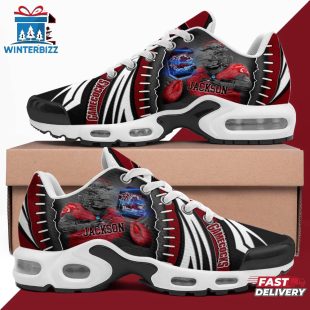 Custom Name South Carolina Gamecocks NCAA Sport Air Max Plus Shoes
